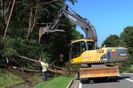 South Bend Tree Service Image